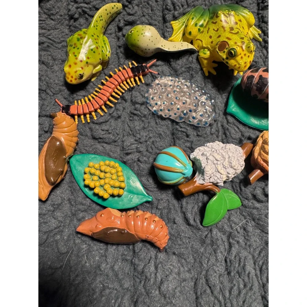 Life Cycle Toy Set Frog Butterfly Insect Educational Science Figures Lot